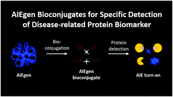 Graphical abstract: AIEgen bioconjugates for specific detection of disease-related protein biomarkers