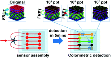 Graphical abstract: Simple and sensitive colorimetric detection of a trace amount of 2,4,6-trinitrotoluene (TNT) with QD multilayer-modified microchannel assays