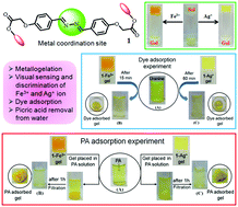 Graphical abstract: Cholesterol-based diazine derivative: selective sensing of Ag+ and Fe3+ ions through gelation and the performance of metallogels in dye and picric acid adsorption from water
