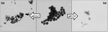 Graphical abstract: Highly degradable imine-doped mesoporous silica particles