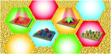 Graphical abstract: Gold nanoparticle layer: a versatile nanostructured platform for biomedical applications
