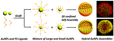 Graphical abstract: 3D confined assembly of polymer-tethered gold nanoparticles into size-segregated structures