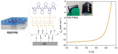 Graphical abstract: High-efficiency robust organic solar cells using transfer-printed PEDOT:PSS electrodes through interface bonding engineering
