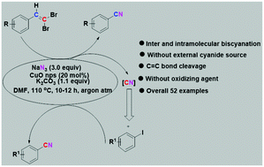 Graphical abstract: Copper catalyzed cyanation through C [[double bond, length as m-dash]] C bond cleavage of gem-aryl dibromide followed by second cyanation of iodoarene by a released CN unit