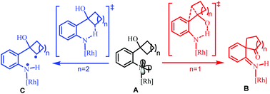 Graphical abstract: Mechanistic insights into the different chemoselectivities of Rh2(ii)-catalyzed ring expansion of cyclobutanol-substituted aryl azides and C–H bond amination of cyclopentanol-substituted aryl azides: a DFT study