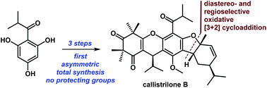Graphical abstract: Asymmetric total syntheses of callistrilones B, G and J