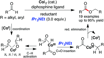 Graphical abstract: Cobalt-catalyzed intermolecular hydroacylation of aldehydes: initiation of hydride transfer enables turnover