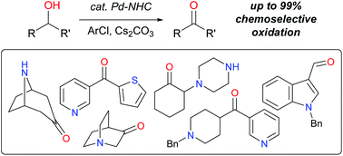 Graphical abstract: Palladium-catalyzed chemoselective anaerobic oxidation of N-heterocycle-containing alcohols