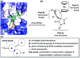 Graphical abstract: Application of organocatalysis in bioorganometallic chemistry: asymmetric synthesis of multifunctionalized spirocyclic pyrazolone–ferrocene hybrids as novel RalA inhibitors