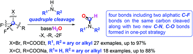 Graphical abstract: Halodifluoroacetates as formylation reagents for various amines via unprecedented quadruple cleavage