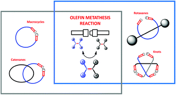 Graphical abstract: Olefin metathesis reaction as a locking tool for macrocycle and mechanomolecule construction