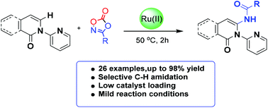 Graphical abstract: Ru(ii)-Catalyzed C6-selective C–H amidation of 2-pyridones