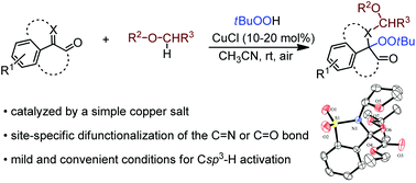 Graphical abstract: Alkylation–peroxidation of α-carbonyl imines or ketones catalyzed by a copper salt via radical-mediated Csp3–H functionalization