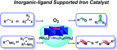 Graphical abstract: An efficient protocol for the preparation of aldehydes/ketones and imines by an inorganic-ligand supported iron catalyst
