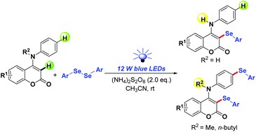 Graphical abstract: Metal- and photocatalyst-free visible-light-promoted regioselective selenylation of coumarin derivatives via oxidation-induced C–H functionalization