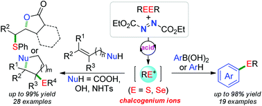 Graphical abstract: Acid-catalyzed oxidative cleavage of S–S and Se–Se bonds with DEAD: efficient access to sulfides and selenides