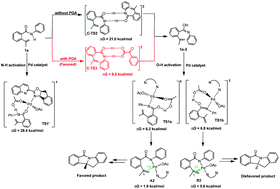 Graphical abstract: Mechanistic studies: enantioselective palladium(ii)-catalyzed intramolecular aminoarylation of alkenes by dual N–H and aryl C–H bond cleavage