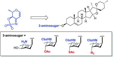 Graphical abstract: Diversified synthesis and α-selective glycosylation of 3-amino-2,3,6-trideoxy sugars