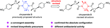 Graphical abstract: Total synthesis and structure revision of chrysamide B