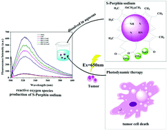 Graphical abstract: Synthesis and evolution of S-Porphin sodium as a potential antitumor agent for photodynamic therapy against breast cancer