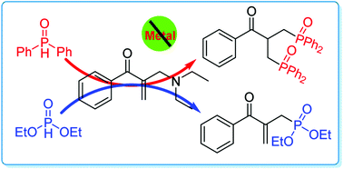 Graphical abstract: Nucleophile-controlled mono- and bis-phosphonation of amino-2-en-1-ones via catalyst-free C(sp3)–N bond cleavage