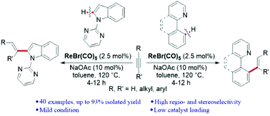 Graphical abstract: ReI-Catalyzed highly regio- and stereoselective C–H addition to terminal and internal alkynes