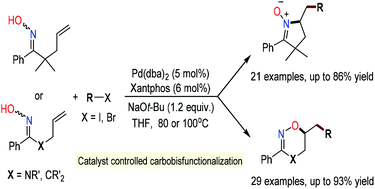 Graphical abstract: Pd-Catalyzed carboannulation of γ,δ-alkenyl oximes: efficient access to 5-membered cyclic nitrones and dihydroazines