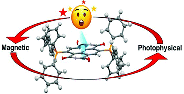 Graphical abstract: Anion–π and anion–π-radical interactions in bis(triphenylphosphonium)-naphthalene diimide salts