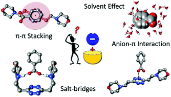 Graphical abstract: Supramolecular forces and their interplay in stabilizing complexes of organic anions: tuning binding selectivity in water