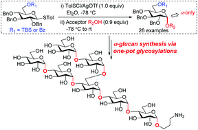 Graphical abstract: A new method for α-specific glucosylation and its application to the one-pot synthesis of a branched α-glucan