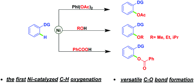 Graphical abstract: Nickel-catalyzed regioselective Câ€“H oxygenation: new routes for versatile Câ€“O bond formation