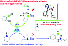 Graphical abstract: A mechanistic investigation into N-heterocyclic carbene (NHC) catalyzed umpolung of ketones and benzonitriles: is the cyano group better than the classical carbonyl group for the addition of NHC?