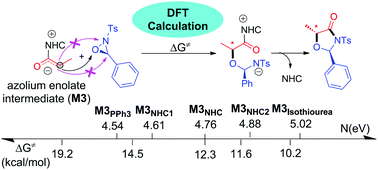 Graphical abstract: Insights into highly selective ring expansion of oxaziridines under Lewis base catalysis: a DFT study