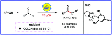 Graphical abstract: Carbene-catalyzed oxidative acylation promoted by an unprecedented oxidant CCl3CN