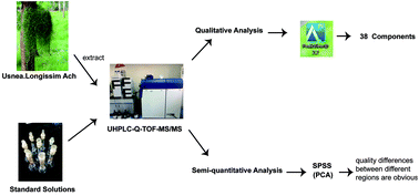 Graphical abstract: UHPLC-Q-TOF-MS/MS-oriented characteristic components dataset and multivariate statistical techniques for the holistic quality control of Usnea