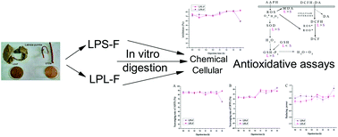 Graphical abstract: Chemical and cellular antioxidant activity of flavone extracts of Labisia pumila before and after in vitro gastrointestinal digestion