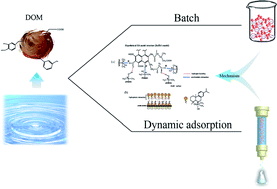 Graphical abstract: Performance of a zeolite modified with N,N-dimethyl dehydroabietylamine oxide (DAAO) for adsorption of humic acid assessed in batch and fixed bed columns