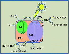 Graphical abstract: Photoelectrocatalytic application of palladium decorated zinc oxide-expanded graphite electrode for the removal of 4-nitrophenol: experimental and computational studies