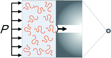 Graphical abstract: Intrusion of polyethylene glycol into solid-state nanopores