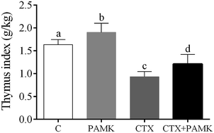 Graphical abstract: The polysaccharide of Atractylodes macrocephala koidz (PAMK) alleviates cyclophosphamide-mediated immunosuppression in geese, possibly through novel_mir2 targeting of CTLA4 to upregulate the TCR-NFAT pathway