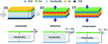 Graphical abstract: High-efficiency and stable piezo-phototronic organic perovskite solar cell