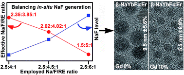 Graphical abstract: Revealing the in situ NaF generation balance for user-friendly controlled synthesis of sub-10 nm monodisperse low-level Gd3+-doped β-NaYbF4:Er