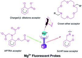 Graphical abstract: Fluorescent probes for the detection of magnesium ions (Mg2+): from design to application