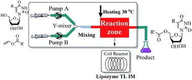 Graphical abstract: Enzymatic synthesis of nucleoside analogues from uridines and vinyl esters in a continuous-flow microreactor