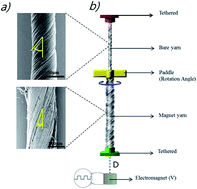 Graphical abstract: Magnetic torsional actuation of carbon nanotube yarn artificial muscle