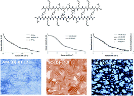 Graphical abstract: Characterization of peptides self-assembly by low frequency Raman spectroscopy