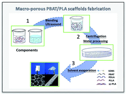 Graphical abstract: Preparation of open-porous stereocomplex PLA/PBAT scaffolds and correlation between their morphology, mechanical behavior, and cell compatibility