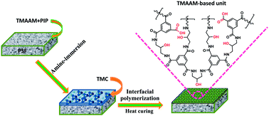 Graphical abstract: Modification of polyamide TFC nanofiltration membrane for improving separation and antifouling properties