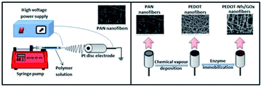 Graphical abstract: An amperometric glucose biosensor based on PEDOT nanofibers