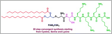 Graphical abstract: An efficient and scalable synthesis of potent TLR2 agonistic PAM2CSK4